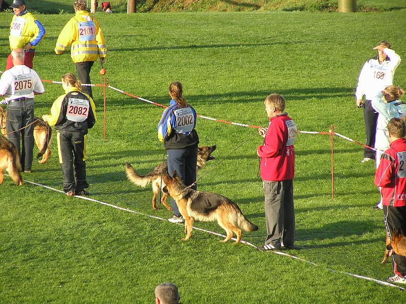 15-9-08 127.jpg